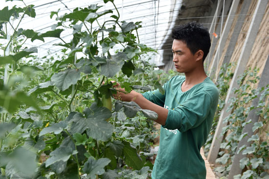 Young men in their agricultural careers