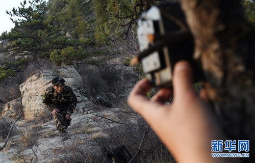 NGO assists protection of North China leopard