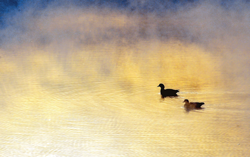 Douqi River glimpsed through morning mist