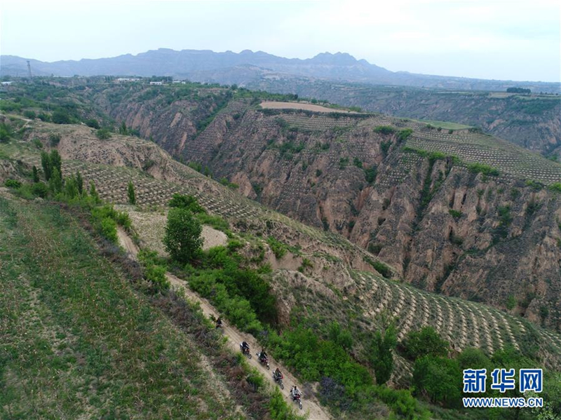 Incomes rise through tree planting in Shanxi