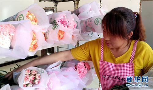 Shanxi village tackles poverty with flower industry