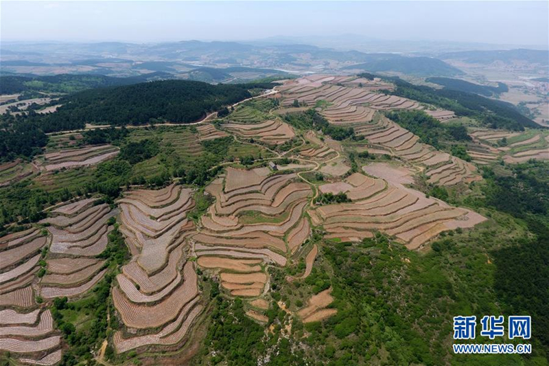 Aerial photos show stunning Shanxi terrace fields