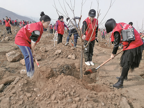 Volunteers plant trees in rural Yuncheng