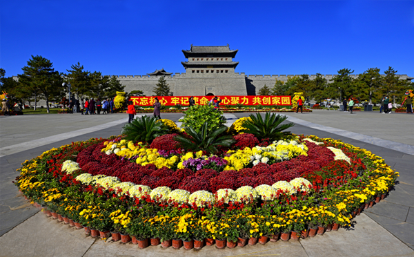 Datong ushers in chrysanthemum season