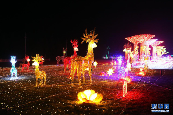 Spring Festival decorations light up Yuncheng