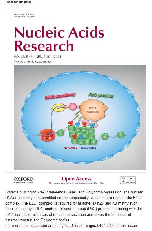 SXU makes new progress in study on formation of heterochromatin