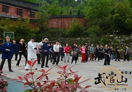 Sino-France Wudang tai chi summer camp wins honor