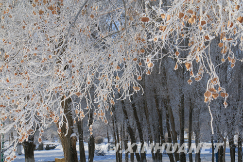 Gorgeous icy scenery in Karamay