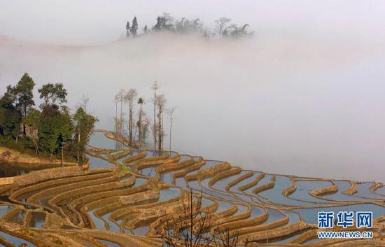 Hani terraces named UNESCO world heritage