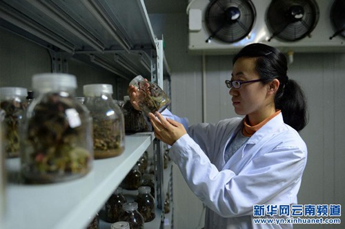 China and NZ cooperate on plant research in Kunming's new lab