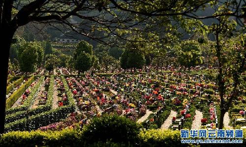 Kunming residents remember ancestors with flowers