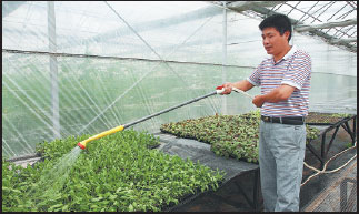 Devoted husband reaps rewards from gardening