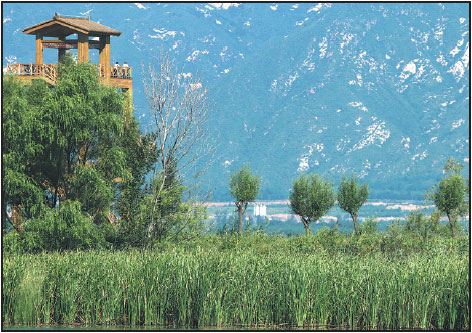 Beijing becomes greener, welcomes back wild birds