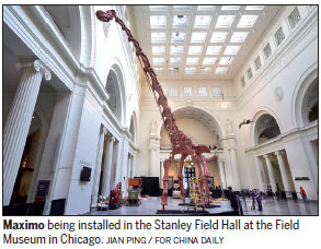 Titanosaur the star at Chicago Field Museum