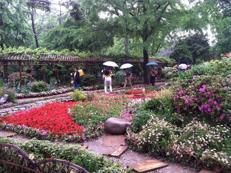 Solo venture to Shanghai, Hangzhou and Suzhou