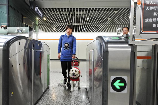 Should guide dogs be allowed on the subway?