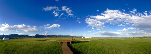 Inner Mongolia's grassland, our beautiful home