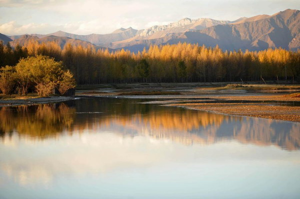 Long-term task to protect ecology on highest plateau