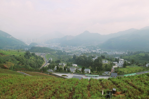 A flower paradise in northern Guizhou