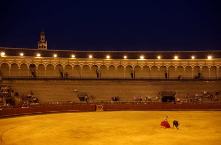 Bullfighter Jose Manuel Sandin prepares to perform a pass to a bull during a bullfight in the Maestranza bullring in Seville August 27, 2006.