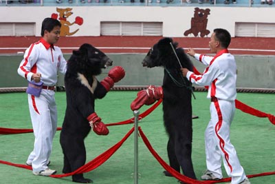 ,,animal olympics,,shanghai wild animal park,,,