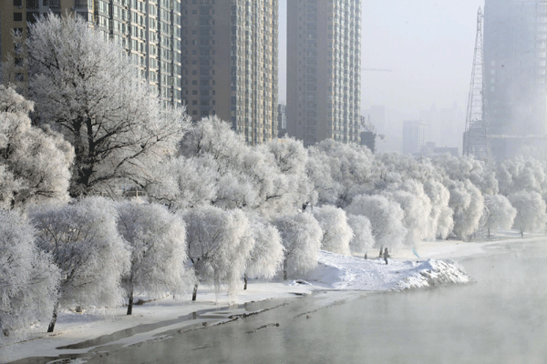 NE China turns pretty in white