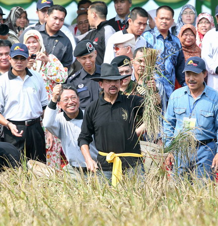 Sultan of Brunei in rice harvest