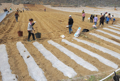 Severe drought hits southwest China