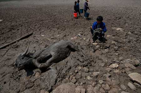 Drought continues in SW China