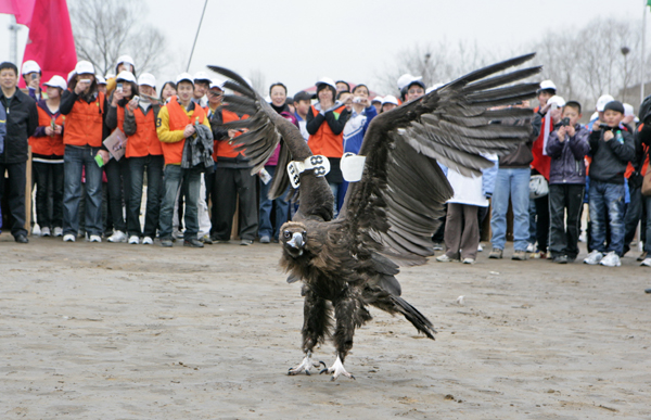 Flap of freedom