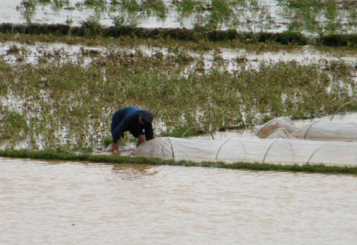 Torrent sweeps Guangxi