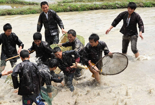 Miao people celebrate Sisters Festival