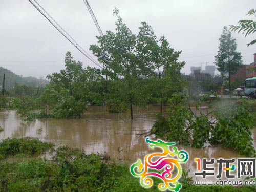 Strong gales, heavy rain hit Chongqing