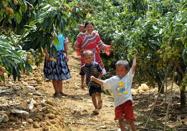 Lychee season comes to China