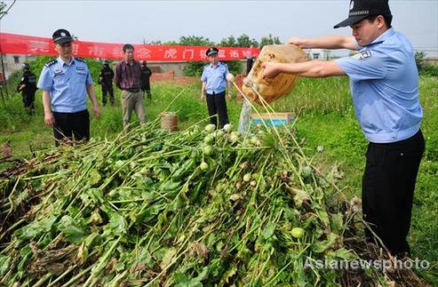 Drugs burned in East China