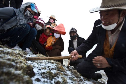 Tibetans searching for medicinal fungus