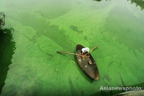 Algae outbreak threatens drinking water source