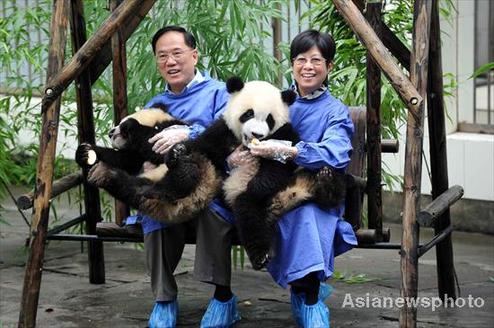 HK Chief Executive and wife visit giant pandas