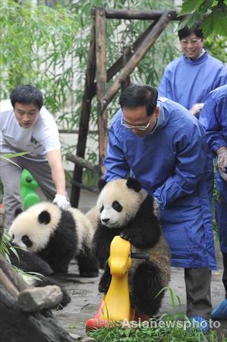 HK Chief Executive and wife visit giant pandas