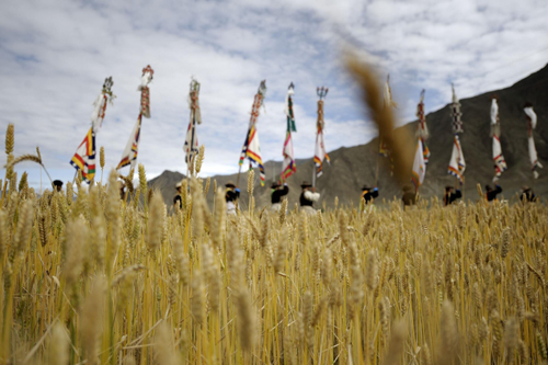 Tibetans celebrate Ongkor Festival