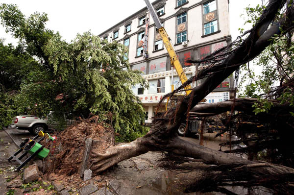 Fujian in disorder after Meranti makes landfall