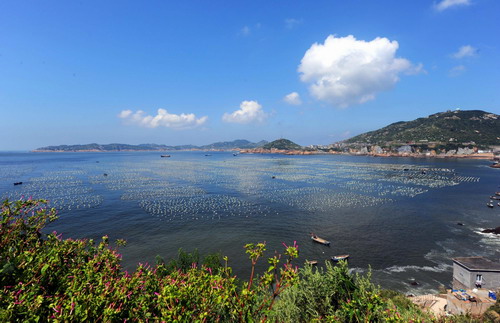 Sowing a sea of mussels in E. China