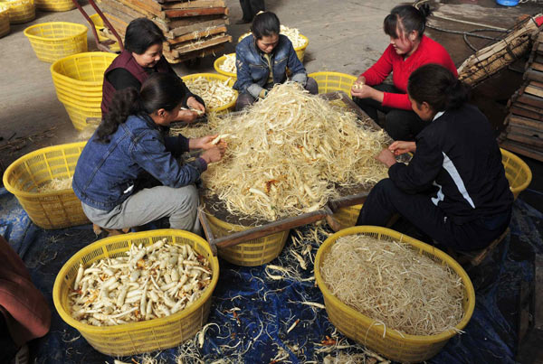 Asia's largest ginseng production centre in Jilin