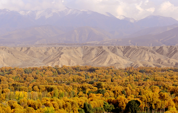 Autumn scenes from upper reaches of Yellow River