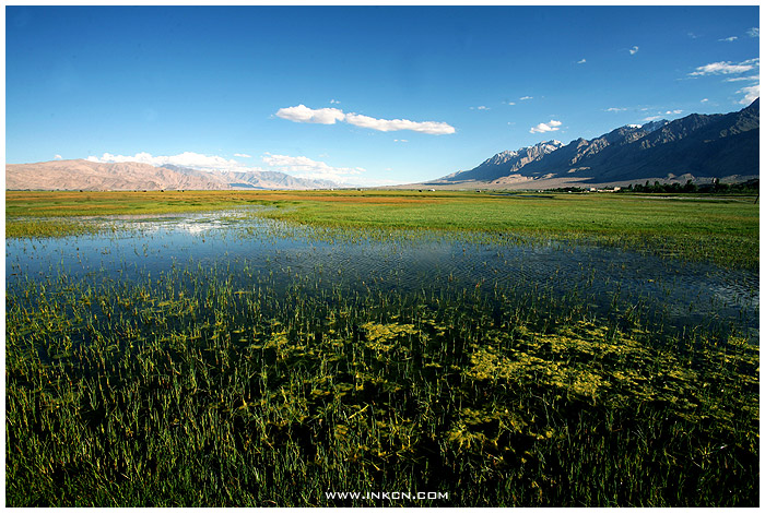 Experiencing Xinjiang (II)