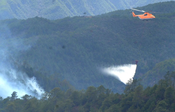 Forest fire put out in SW China