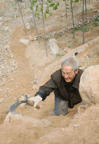 Legless veteran planted 3,000 trees in 10 years