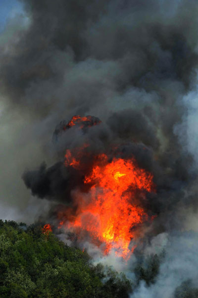 Forest fire put out in NE China