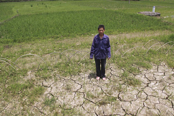 Drought affects rice output in E China