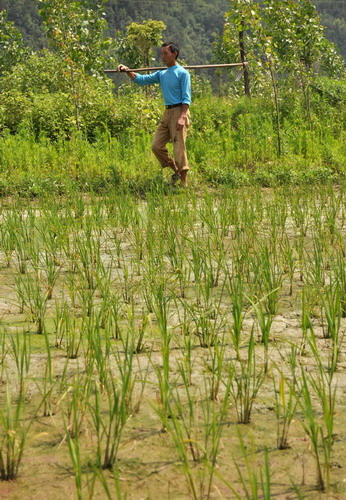 Drought hits Central and East China